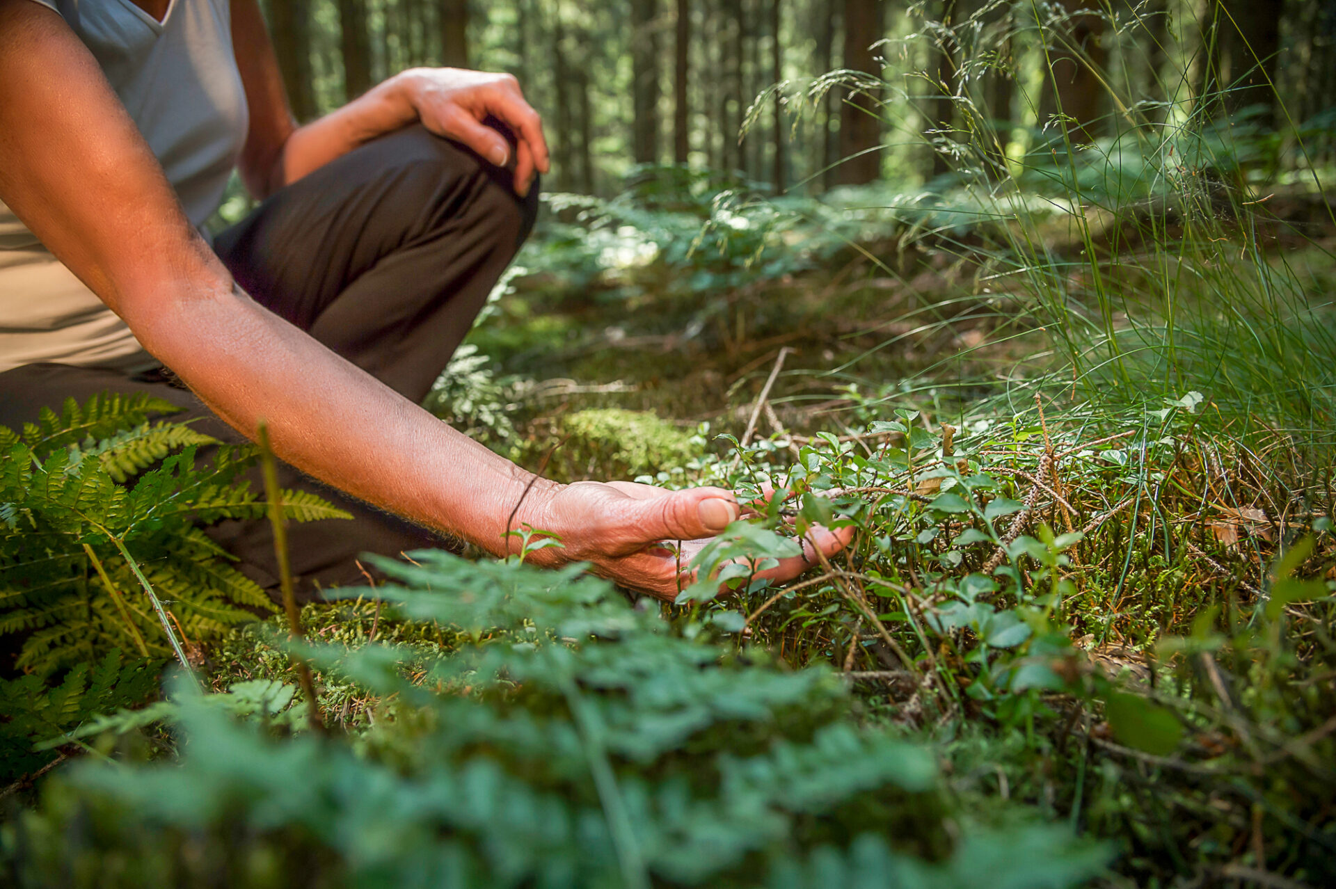 Achtsam den Wald entdecken