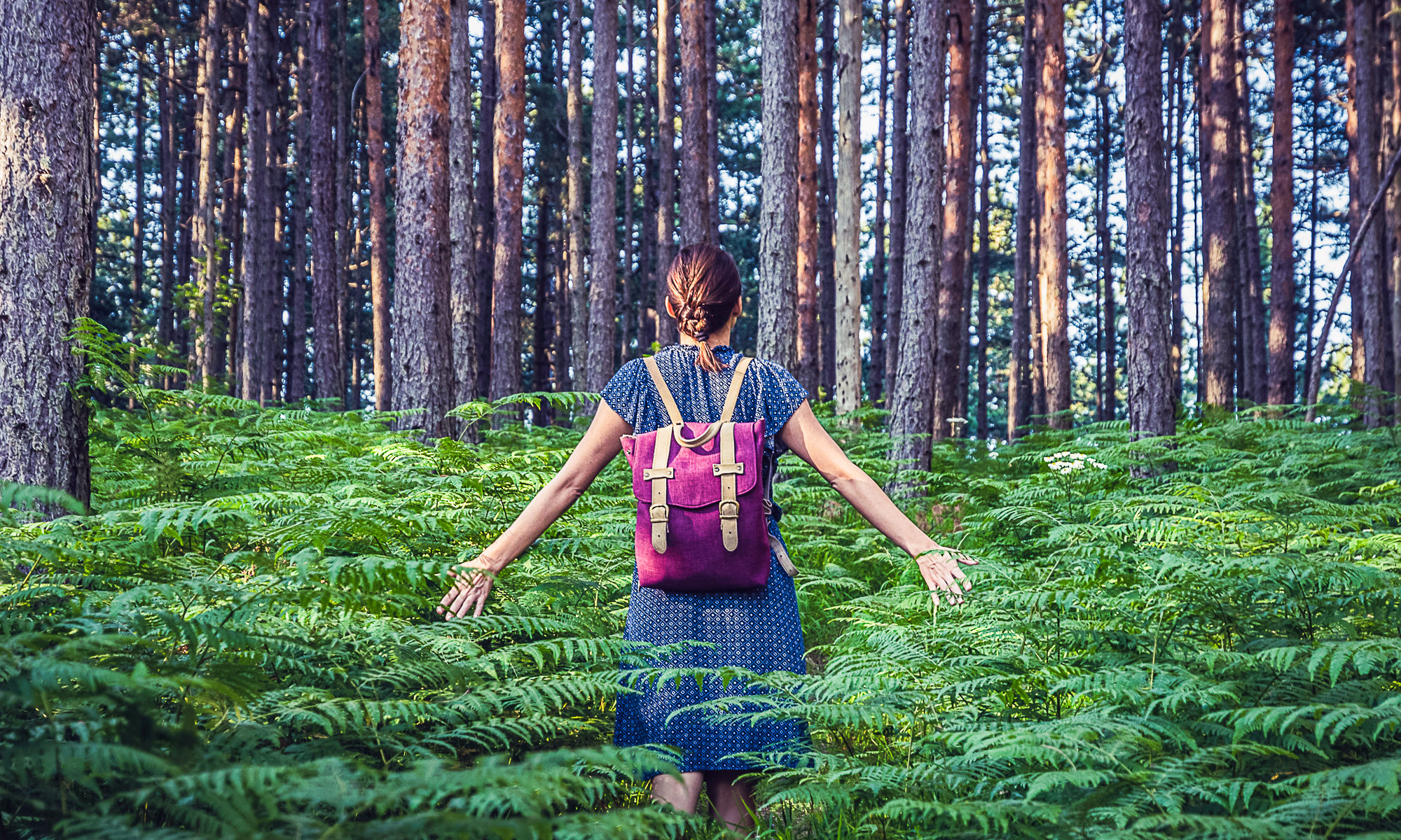 Den Wald mit allen Sinnen erleben