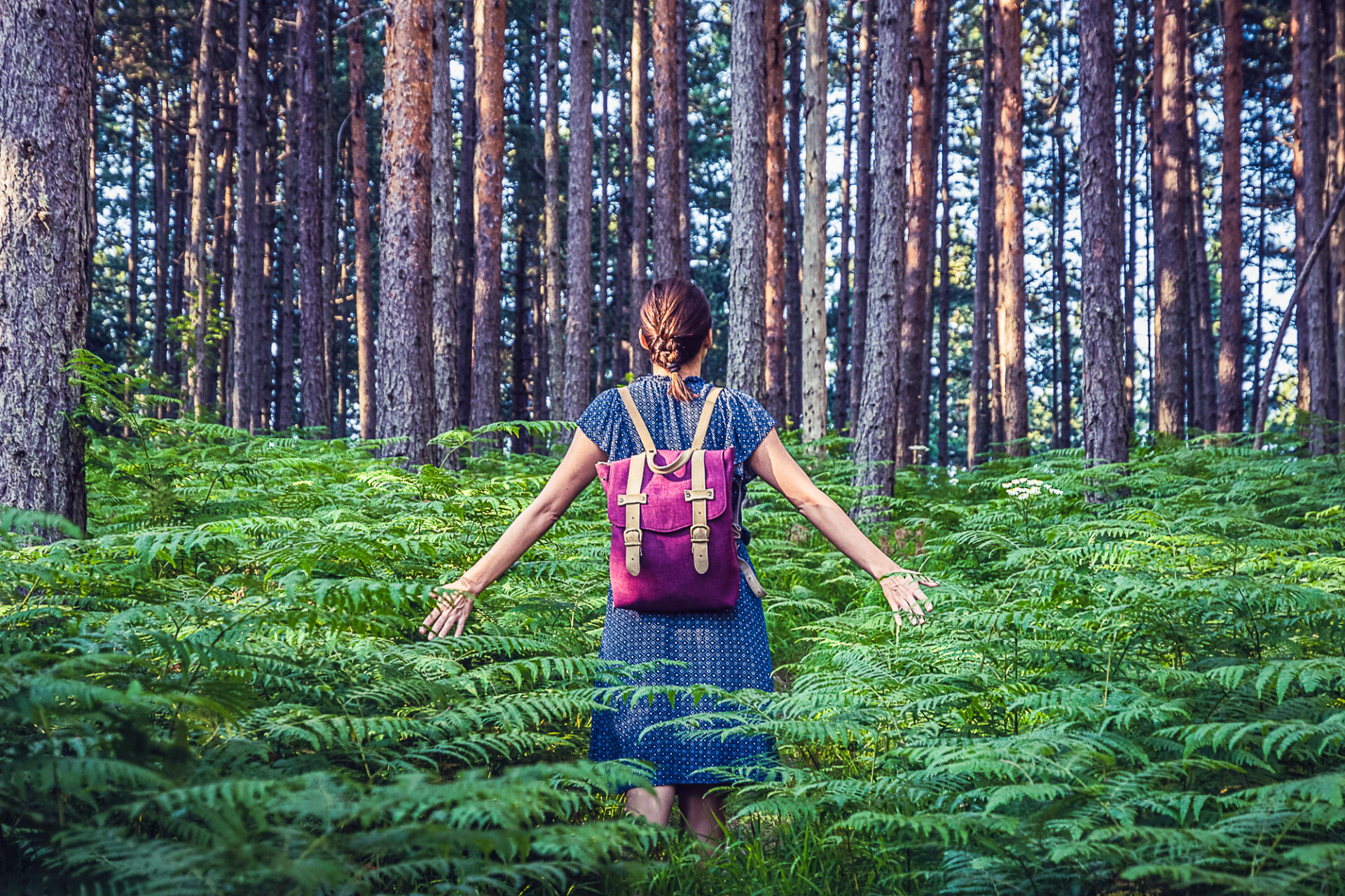 Den Wald mit allen Sinnen erleben